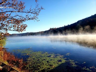 Misty fog hovering over Lake Letherwood on a fall day, clear blue sky above.